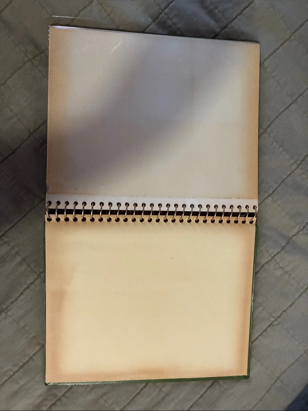 Vintage Green Photo Album - Home Accents